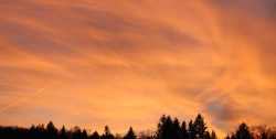 Letzte-Hilfe-Kurs am 24.10.2025 von 15 - 19 Uhr in Wernigerode